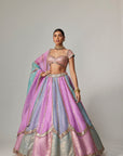 Mauve Multicolor Sequins Scatter Lehenga With Cap Sleeve Blouse