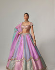 Mauve Multicolor Sequins Scatter Lehenga With Cap Sleeve Blouse