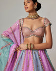 Mauve Multicolor Sequins Scatter Lehenga With Cap Sleeve Blouse
