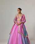 Mauve Multicolor Linear Lehenga With V Neck Blouse