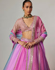 Mauve Multicolor Linear Lehenga With V Neck Blouse