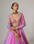 Mauve Multicolor Linear Lehenga With V Neck Blouse