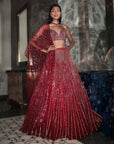 Metroid Bling Lehenga Set