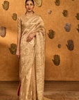 Tissue Coco Saree