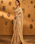 Tissue Coco Saree