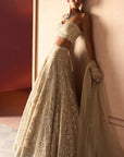 The Modern Royalty Ekru Lehenga