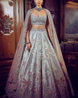 The Ice Blue Flamingo Landscape Lehenga