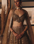 The Sheeshraag Toasted Gold Lehenga