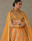 Rust 'Paan-Patti' Lehenga Set