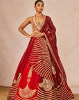 Milan Ki Aas Lehenga
