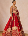 Milan Ki Aas Lehenga