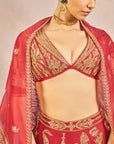 Mehakasa Paigaam Lehenga