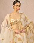 Pehli Kiran Lehenga
