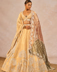 Chandni Lehenga