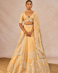 Chandni Lehenga