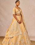 Chandni Lehenga