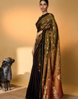 Midnight Amber Saree