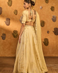 Ivory Sakura Tissue Lehenga Set