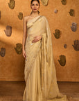 Ivory Moon Garden Tissue Saree