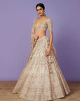 Mahal Lehenga Set