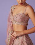 Tara Lehenga Set