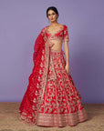 Astra Lehenga Set
