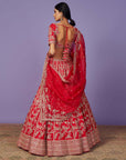 Astra Lehenga Set