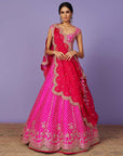 Creeper Lehenga Set