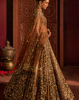 Mocha Naira Lehenga Set
