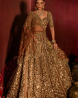 Mocha Naira Lehenga Set