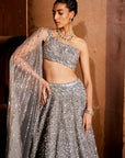 Aafreen Lehenga