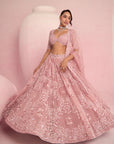 Blush Pink Lehenga Set