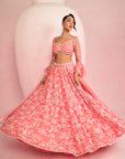 Peach Lehenga Set