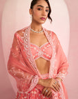 Peach Lehenga Set