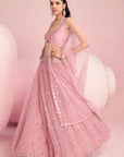 Soft Pink Lehenga Set