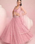 Soft Pink Lehenga Set