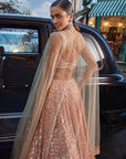 Peach Sequin Lehenga Set 3