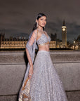 Silver Gold Sequin Lehenga Set 2