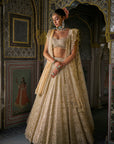Ivory Gold Pearl Lehenga Set