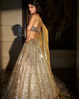 Antique Gold Mirror Work Lehenga Set