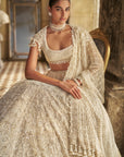 Ivory Pearl Lehenga Set