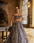 Metallic Silver 3D Lehenga Set