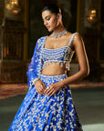 Blue Thread Work Lehenga Set
