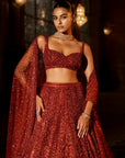 Brick Red Crystal Lehenga Set
