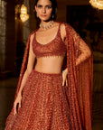 Copper Crystal Lehenga Set