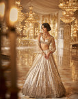 Silver Gold Crystal Lehenga Set