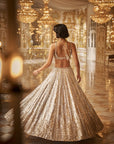 Silver Gold Crystal Lehenga Set