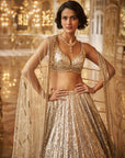 Silver Gold Crystal Lehenga Set