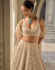 Nude Chandelier Lehenga Set