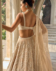 Nude Chandelier Lehenga Set